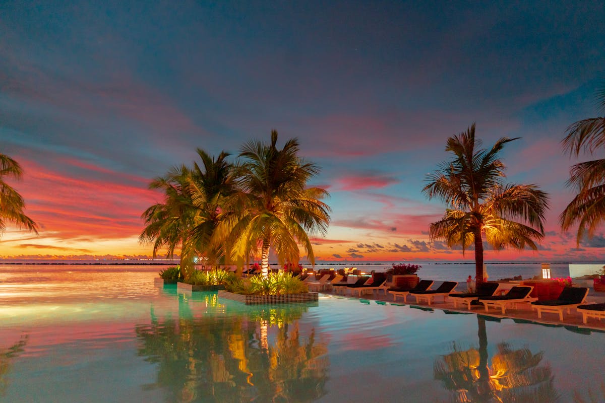 Luxurious infinity pool with palm trees bathed in golden sunset light