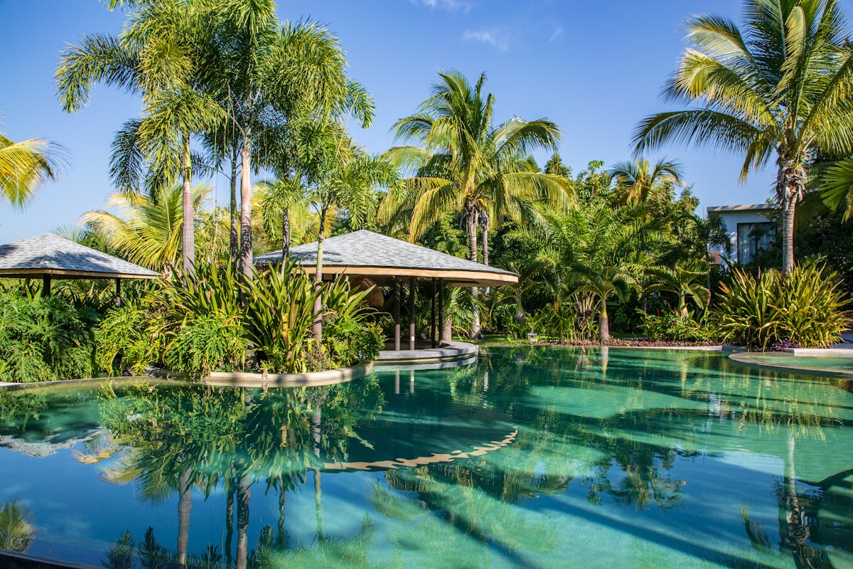 Serene tropical resort pool surrounded by lush palm trees under a clear blue sky